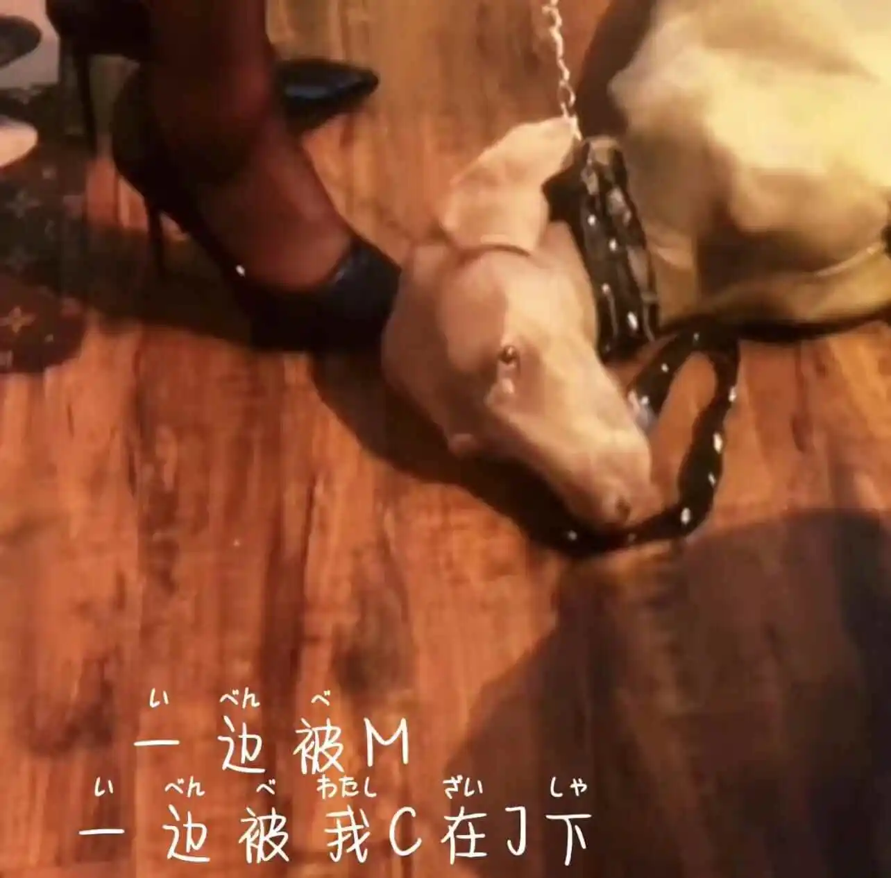 西檬之家斯慕圈新人如何入门? 一