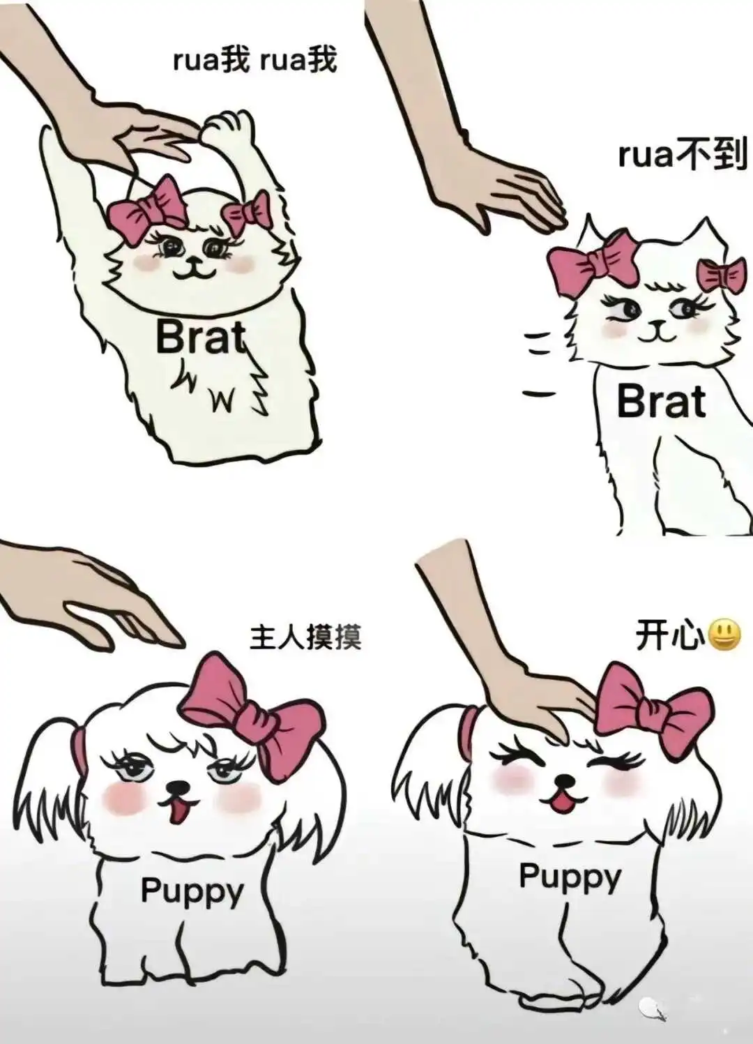 西檬之家字母圈的brat属性是什么? 一
