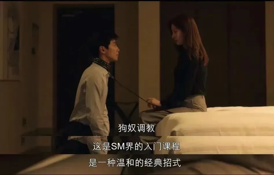 西檬之家brat属性是什么? 一