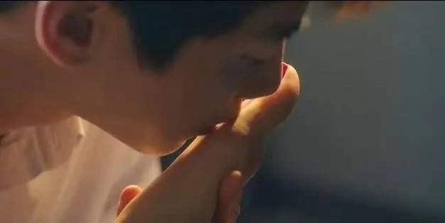 西檬之家s属性是什么意思? 一