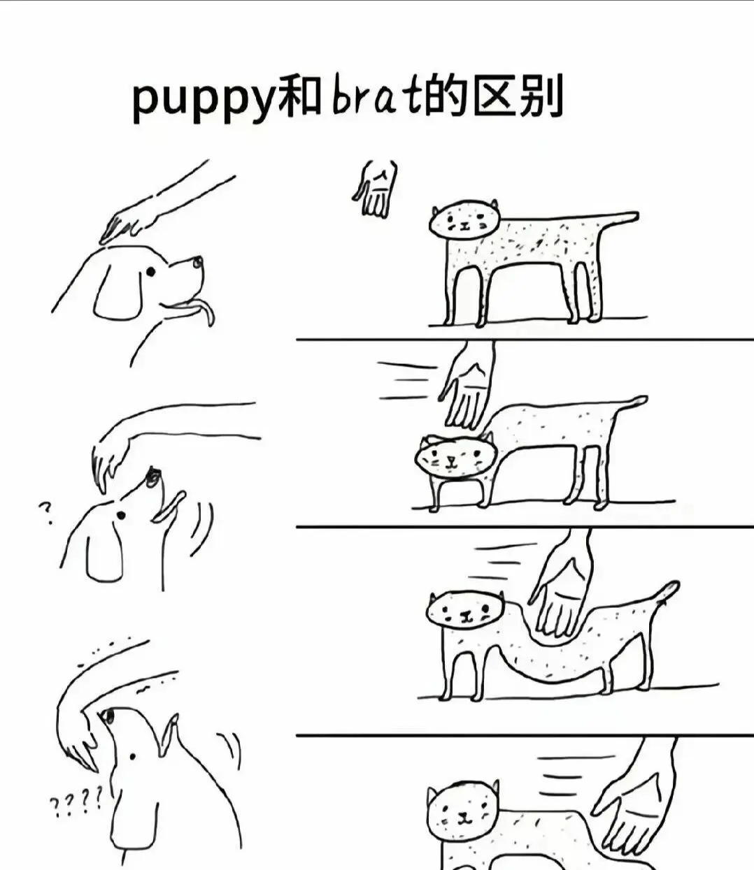 西檬之家ddlg是什么?字母圈新人必看 一