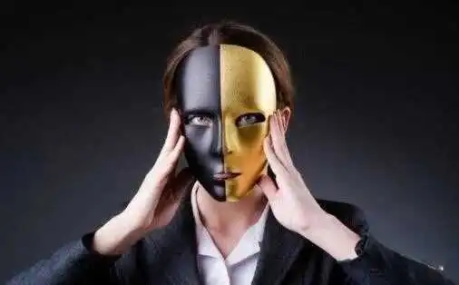 西檬之家k9犬系是什么?你的犬系属性是什么? 一