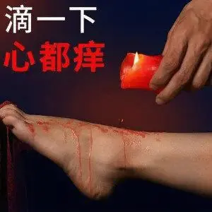 西檬之家k9犬系是什么?字母圈新人入圈 一