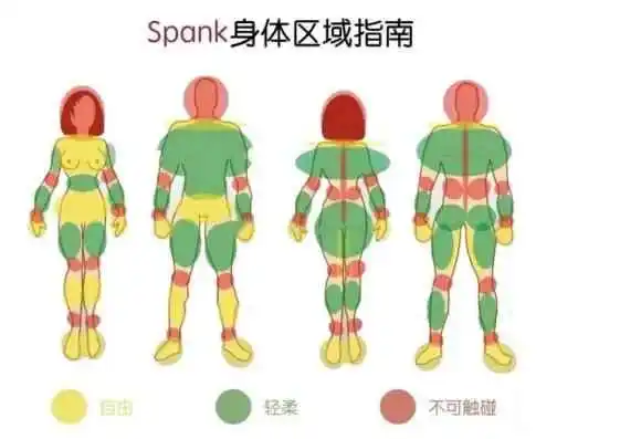 西檬之家k8猫系是什么?你的字母圈属性是什么? 一