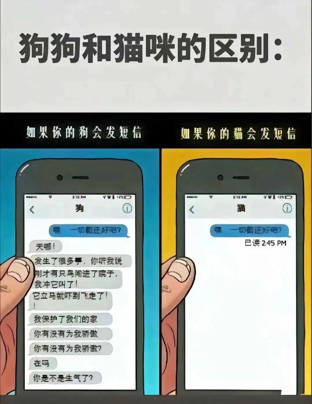 西檬之家Dirty Talk是什么?字母圈新人入圈 一
