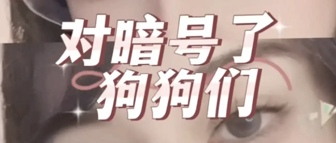 西檬之家k9犬系是什么?字母圈新人如何入圈 一