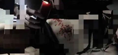 西檬之家BDSM是什么? 一