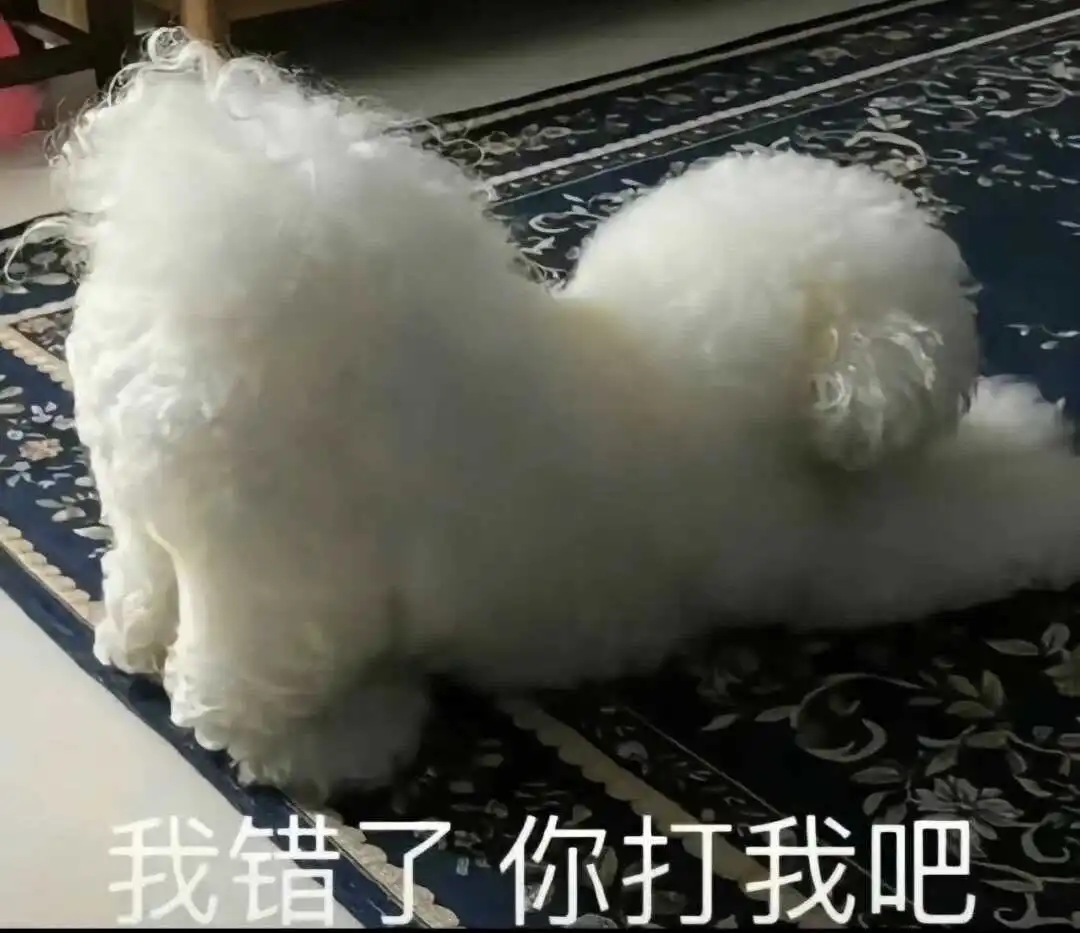 西檬之家字母圈的k8猫系是什么意思? 一