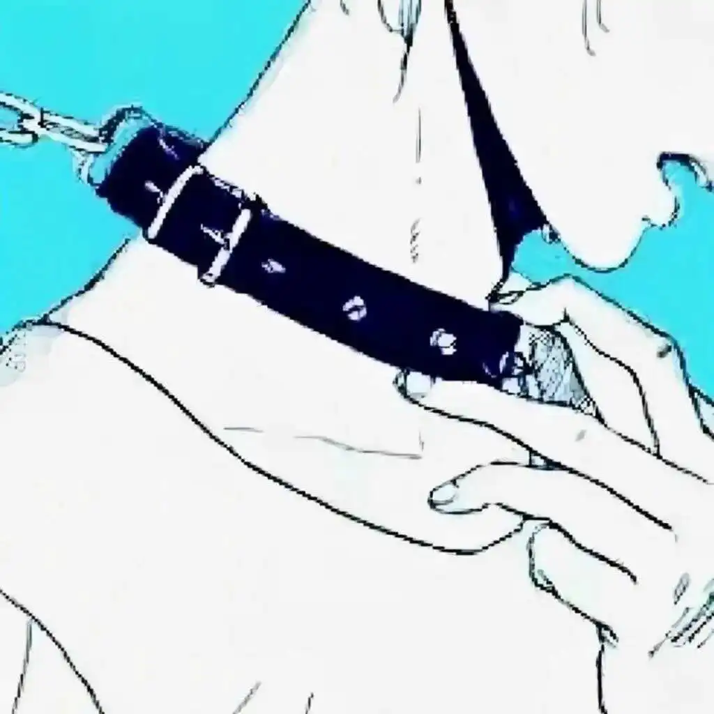 西檬之家k9犬系是什么意思? 一