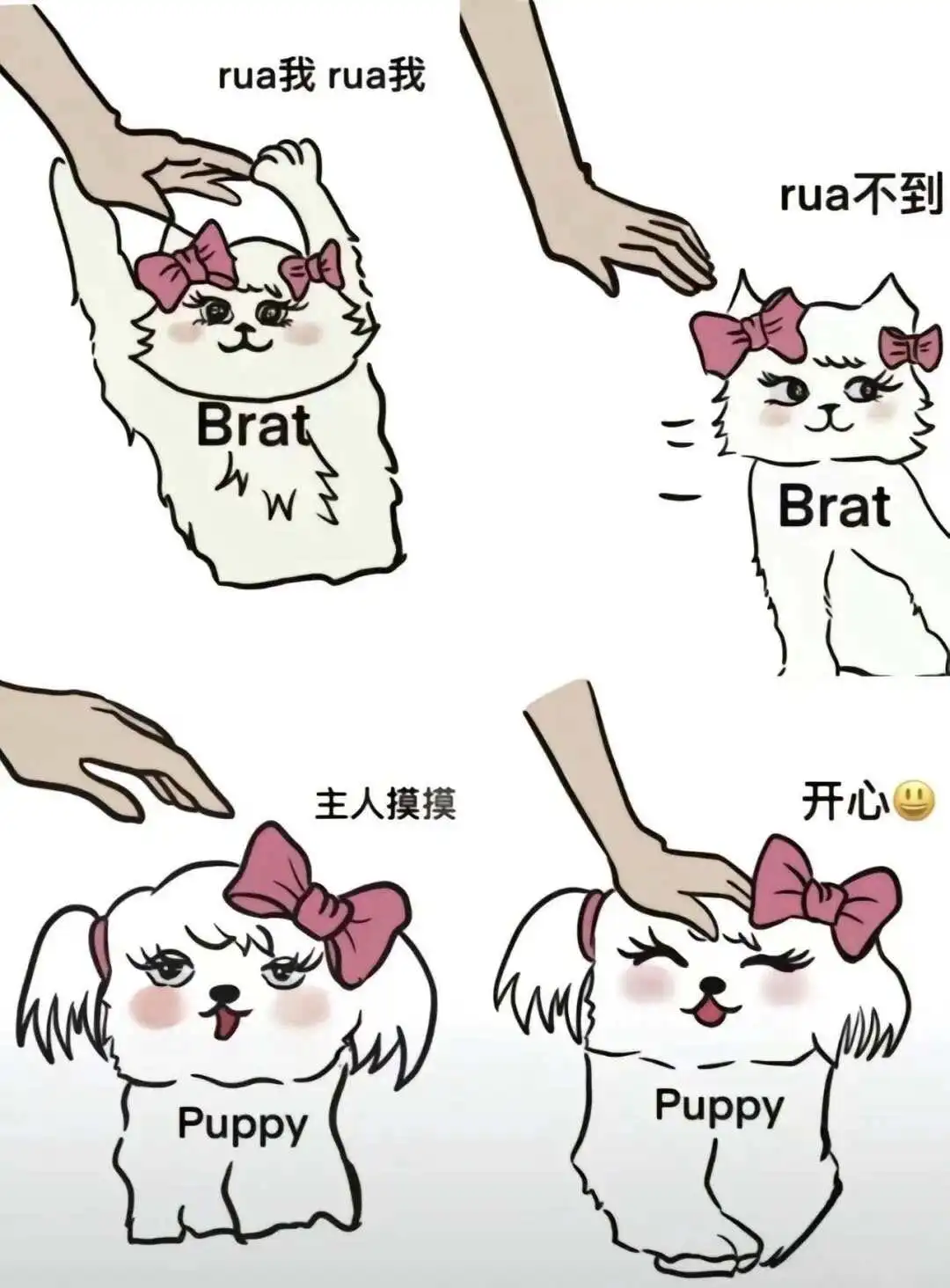西檬之家Brat属性是什么?字母圈新人入圈 一